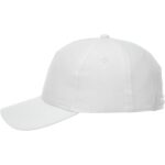 Unisex DOMINATE Ballcap - 4